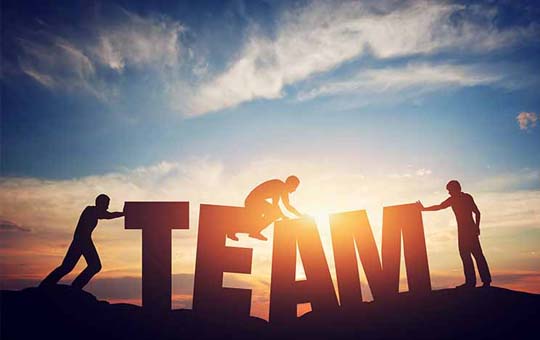 Diversifyer's team of professionals.